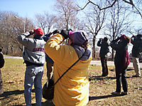 New York Bird Watchers