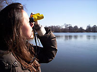 Bird Census in Progress